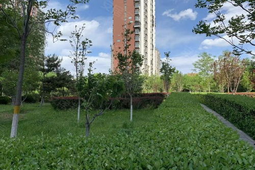 八家嘉园优点 不足,八家嘉园怎么样,八家嘉园周边房产中介经纪人评价
