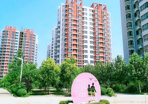 秦皇岛北戴河低总价孔雀王府周边配套 诚信经营 秦皇岛宜人易居房地产经纪供应
