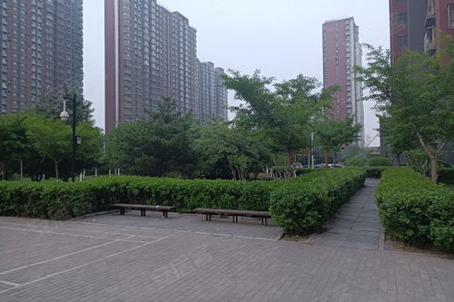八家嘉园优点 不足,八家嘉园怎么样,八家嘉园周边房产中介经纪人评价