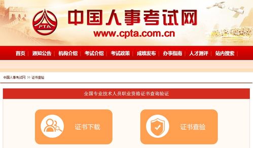 中国房地产经纪人