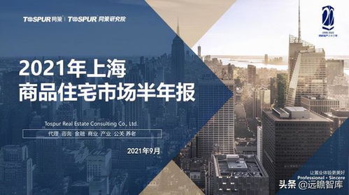 上海楼市 沪十条 新政对二手房市场影响大于新房