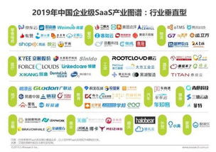 资本频频示爱,行业saas登上 风口